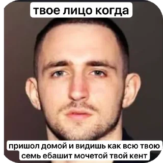 🫥 emoji ЛИТВИН @MoiStikiBot Telegram sticker 5 of 14