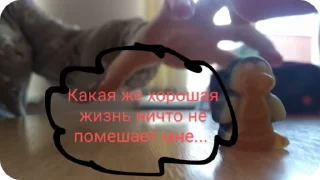 Творческий пипец sticker 1