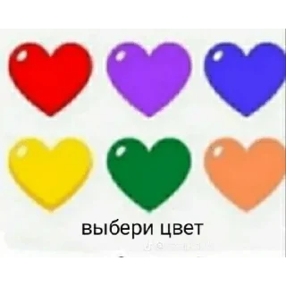 🏳️‍🌈 emoji Учитель 2 Telegram sticker 7 of 12