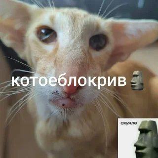 Sticker from брошено
