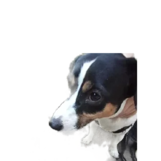 Sticker from одааа