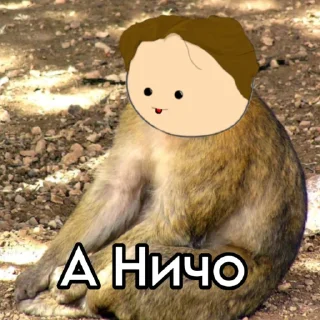 🤫 emoji 📍Пушкин и Робин📍 Telegram sticker 12 of 20