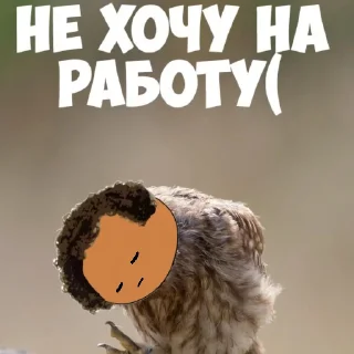 🤫 emoji 📍Пушкин и Робин📍 Telegram sticker 17 of 20