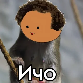 🤫 emoji 📍Пушкин и Робин📍 Telegram sticker 13 of 20