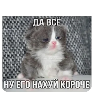 Sticker from Кеты мемы