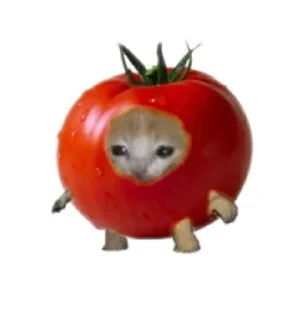 🍅 emoji Помидоры Telegram sticker 8 of 19
