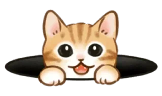 🐱 emoji Больше стиков тут: @stikery4 Telegram sticker 3 of 33