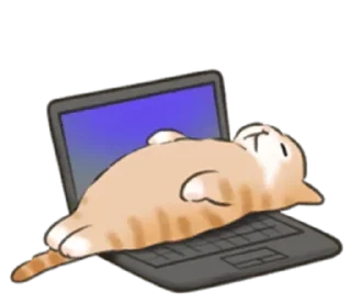 🐱 emoji Больше стиков тут: @stikery4 Telegram sticker 19 of 33