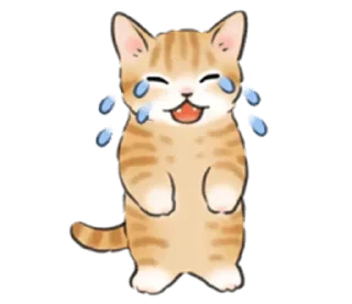 🐱 emoji Больше стиков тут: @stikery4 Telegram sticker 11 of 33