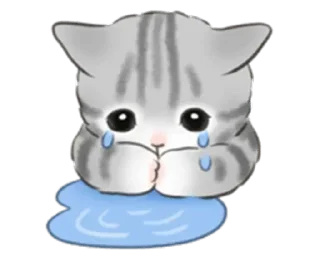🐱 emoji Больше стиков тут: @stikery4 Telegram sticker 9 of 33