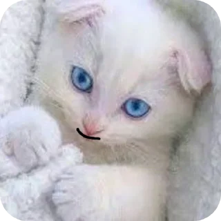 Sticker from Стив @kanal_stivena