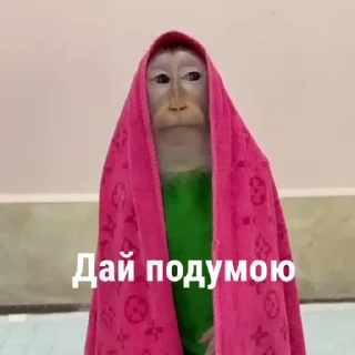 😎 emoji Автор стикеров @nipik_Official Telegram sticker 17 of 48