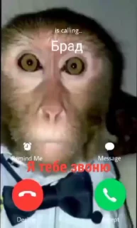 😘 emoji Автор стикеров @nipik_Official Telegram sticker 6 of 48