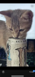 🥤 emoji фанклуб курамы Telegram sticker 16 of 21