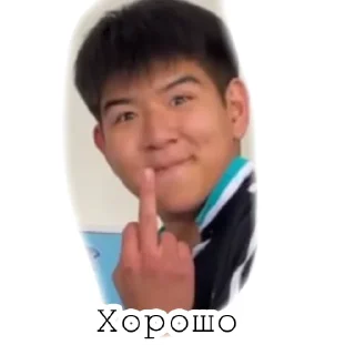 🙀 emoji Барашки ᰔᩚ Telegram sticker 20 of 26