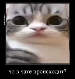😏 emoji Стикеры @stickrubot @textmeru_bot Telegram sticker 24 of 50