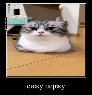 😘 emoji Стикеры @stickrubot @textmeru_bot Telegram sticker 14 of 50