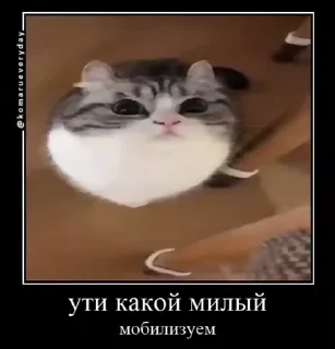 😱 emoji Стикеры @stickrubot @textmeru_bot Telegram sticker 18 of 50