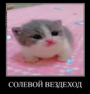 ☺️ emoji Стикеры @stickrubot @textmeru_bot Telegram sticker 7 of 50