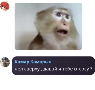 Sticker from Ягадни чат 🍂🧡 pack by @QuotLyBot