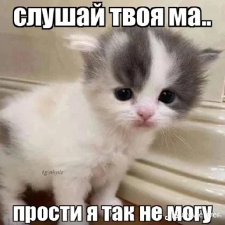 Sticker from Я педофил
