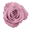 🤩 emoji pink lolita ➜ @emoji1 Telegram sticker 10 of 200