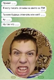 🌟 emoji пиздатый воркер17 @biodark17 Telegram sticker 15 of 100