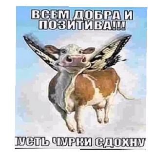 Sticker from Шкебед допесес