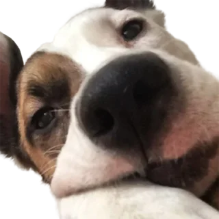 😋 emoji CODE10INSTRUMENTALZPACK Telegram sticker 8 of 35