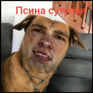 Sticker from Я так сказал ➡️ @Ctikerubot