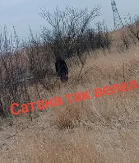 Sticker from Я так сказал ➡️ @Ctikerubot