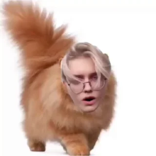 🙈 emoji Еблан сквад ➡️ @Ctikerubot Telegram sticker 21 of 22