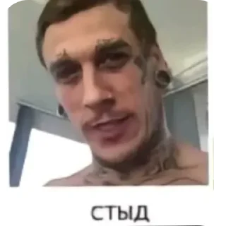 😳 emoji Эмоции босинна @terramuruq Telegram sticker 9 of 11