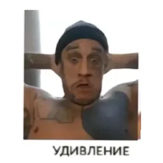 😱 emoji Эмоции босинна @terramuruq Telegram sticker 5 of 11