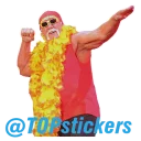 🏄 emoji Hulk Hogan Telegram sticker 12 of 12