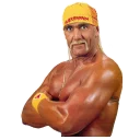 😁 emoji Hulk Hogan Telegram sticker 7 of 12