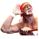 🙉 emoji Hulk Hogan Telegram sticker 11 of 12