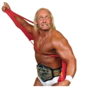 😠 emoji Hulk Hogan Telegram sticker 5 of 12