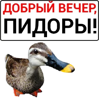 🦆 emoji Больше стикеров: @sticerru Telegram sticker 23 of 75