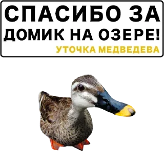 🙏 emoji Больше стикеров: @sticerru Telegram sticker 9 of 75