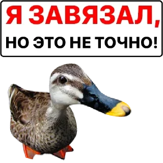 😛 emoji Больше стикеров: @sticerru Telegram sticker 7 of 75