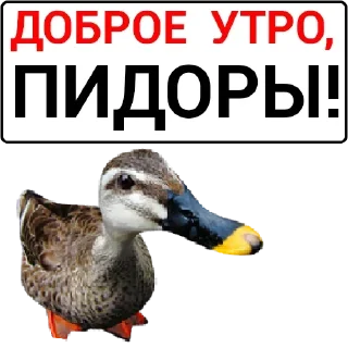 🦆 emoji Больше стикеров: @sticerru Telegram sticker 22 of 75