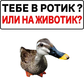 💦 emoji Больше стикеров: @sticerru Telegram sticker 1 of 75