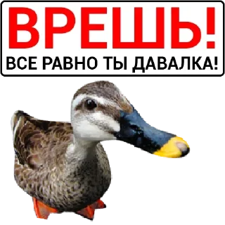 🦆 emoji Больше стикеров: @sticerru Telegram sticker 18 of 75