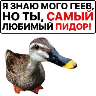 👍 emoji Больше стикеров: @sticerru Telegram sticker 6 of 75