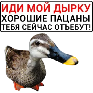 🦆 emoji Больше стикеров: @sticerru Telegram sticker 19 of 75