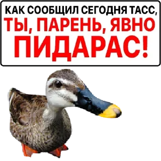 🦆 emoji Больше стикеров: @sticerru Telegram sticker 5 of 75