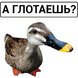 🦆 emoji Больше стикеров: @sticerru Telegram sticker 4 of 75