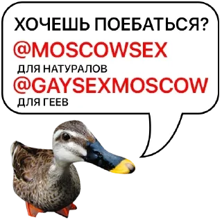 👌 emoji Больше стикеров: @sticerru Telegram sticker 10 of 75