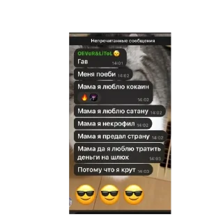 🫥 emoji Сапожка @mogilkaBot Telegram sticker 14 of 111
